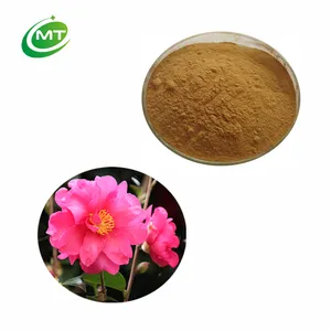 Organic Camellia japonica extract powder Camellia japonica oil Camellia japonica flower extract