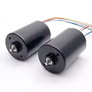 Motor BLDC 24V 12V Motor pequeño 36Mm 3650 Custom High Power High Speed Rpm Motor sin escobillas personalizado de bajo ruido