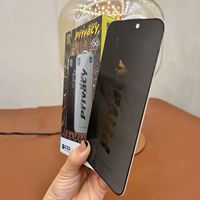 OG High Aluminium Glas 9H ESD Antistatisch Anti-spionage Gehard Glas voor iPhone Privacy Screen Protectors Volledige Dekking Anti-spion