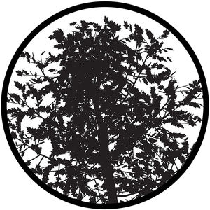 Logo en verre gobo personnalisé, sur mesure, 30 mm, 37 mm, 53 mm, 54 mm - Product Image 5