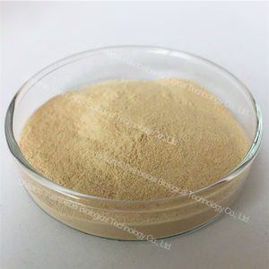 Порошок <span class=keywords><strong>Fucoidan</strong></span>, супер продукты, чистый натуральный экстракт водорослей, 5% - 95% порошок <span class=keywords><strong>Fucoidan</strong></span> - Product Image 2