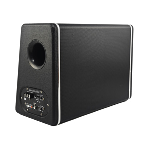 Haut-parleur <span class=keywords><strong>de</strong></span> subwoofer stéréo <span class=keywords><strong>de</strong></span> <span class=keywords><strong>voiture</strong></span> personnalisé <span class=keywords><strong>de</strong></span> 10 pouces Peak 700W Subwoofer <span class=keywords><strong>amplifié</strong></span> actif <span class=keywords><strong>de</strong></span> <span class=keywords><strong>voiture</strong></span> avec basses puissantes - Product Image 4
