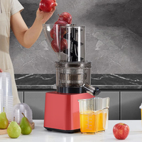 300W facile à utiliser et à nettoyer grande bouche presse à froid agrumes pomme ananas presse-agrumes lent commercial extracteur de jus pour hôtel
