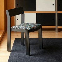 Chaise de salle à manger vintage, chaise de loisirs pour la maison, fauteuil noir de style mid-century, chaise individuelle de luxe minimaliste pour balcon, design de créateur