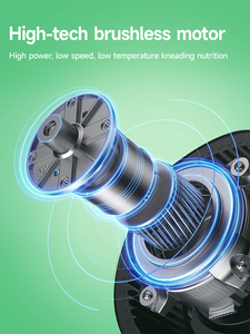 CE Certified BP-800 Cold Press Slow Juicer Adjustable Settings Speed Equipment Juicer - Product Image 3