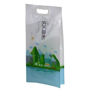 Custom Design 1キロ2キロ5キロ10キロSide Gusset Thailand Basmati Laminated Plastic Rice Bags With Handle