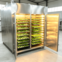 Déshydrateur alimentaire professionnel en acier inoxydable, capacité 20 kg/h, 3 kW, pour bananes, pommes, poisson
