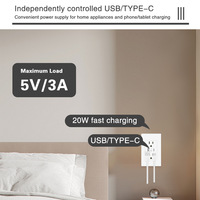 Nouvelle conception, prise électrique en cuivre 15A, norme américaine, 2 prises AC, chargeur USB Type-C, prise murale intelligente WiFi, commande vocale