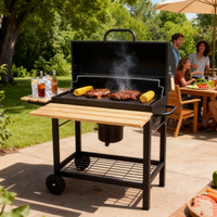 Ensemble barbecue en acier inoxydable, barbecue argentin en acier inoxydable, barbecue de jardin, barbecue portable au charbon de bois