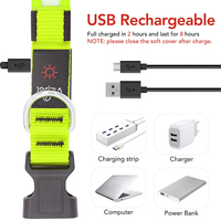 Collier pour chien en nylon imprimé, lumineux, étanche, clignotant, rechargeable par USB, LED, pour chiens de petite, moyenne et grande taille