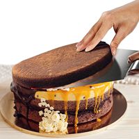 Ensemble de 5 pièces de décoration de gâteau en acier inoxydable, trancheuse droite et décalée, spatules de glaçage et glaçage