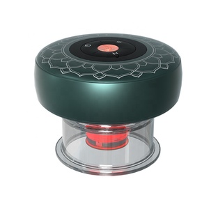 Fitdash-masajeador inteligente de moxibustión, instrumentos de terapia de ventosas, Moxa - Product Image 1