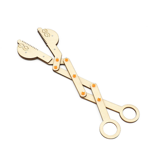 Fabrika özel Logo ahşap montaj eğitim bilim oyuncaklar okul öğretim kök eğitici oyuncaklar DIY ahşap kök oyuncaklar çocuklar için - Product Image 3