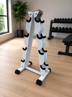 Support de Rangement Robuste à 4 Niveaux pour Haltères avec Supports Rembourrés en Caoutchouc Protecteur pour Équipement de Musculation à Domicile