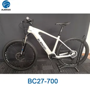 ALIENOZO/OEM En15194 बैटरी सहायता 500 W कार्बन बाइक फ्रेम ई बाइक/velo electrique/bicicleta eletrica