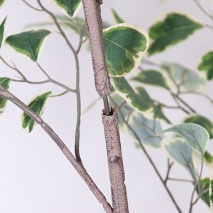 Plante artificielle en pot en plastique, ficus triangulaire, pour l'intérieur et l'extérieur, pour la maison, le bureau, la décoration <span class=keywords><strong>de</strong></span> mariage, décoration intérieure, plantes artificielles - Product Image 4