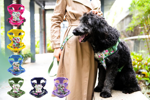 Conjunto de Collar, Correa y Arnés Ajustable para Perro, Diseño Lindo, Venta al por Mayor de Fábrica, Collar Resistente para Cachorros - Product Image 5