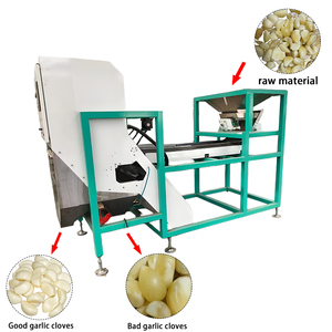 Brand New Lerford <b>Machine</b> <b>Automatic</b> Fruit Grading <b>Machine</b> <b>Coffee</b> Bean Color Sorter 800-1500kg/h Capacity 95% Accuracy Great - Product Image 4