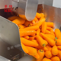 ZHUCHENG MBC Industriële RVS Aardappel Wortel Zoete Aardappel Bieten Hoogwaardige Reinigings- en Schilmachines
