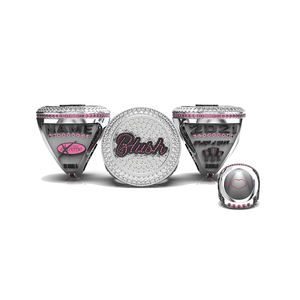 Medalla de Metal 3D Plateada del <span class=keywords><strong>Campeonato</strong></span> <span class=keywords><strong>Mundial</strong></span> de <span class=keywords><strong>Hockey</strong></span> de la Copa Stanley de los Carolina Hurricanes 2021 - Product Image 1
