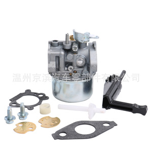 Carburateur Briggs Stratton C6-798653 pour 798653 697354 791077 790290, pièce de rechange mécanique - Product Image 5