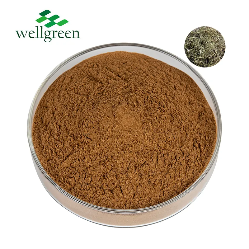 HPLC 98% Salicin Salix Alba Extrait Poudre Organique D'écorce De Saule Blanc Extrait