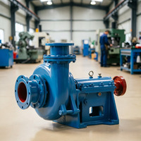 Pompe centrifuge horizontale à haute pression et grand débit pour le lavage du charbon, le dragage de l'or, du cuivre et du minerai de fer