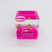 Cube décoratif en acrylique transparent brillant avec liquide coloré et figurine flottante à l'intérieur, idéal pour souvenir