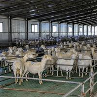 Support de montage de panneaux solaires pour hangars d'élevage, granges et systèmes solaires agricoles