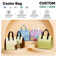 Sac Isotherme Léger Non Tissé pour Plats à Emporter, Capacité 20L, Idéal pour Magasins de Desserts, Livraison OEM BAGTOGO - Vente Flash
