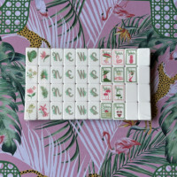 Jeu de tuiles de mahjong américain vert en acrylique, moderne, pliable, écologique, portable, 160 pièces, design de luxe, pour 4 joueurs, à domicile