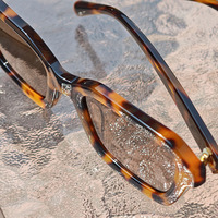 Gafas de Sol de acetato de patrón sólido popular con revestimiento ARG Lentes de Sol de moda Marcos de anteojos Entrega rápida