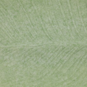 Vassoio decorativo a forma di foglia per decorazioni da tavolo o come centrotavola, design minimalista, colore verde - Product Image 5