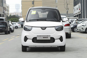 Auto Elettrica Pura Hongrui Xiaohu FEV Veicolo Elettrico Familiare RHD 2 Posti Mini Auto Little Tiger Henry Xiaohu EV in Vendita - Product Image 2