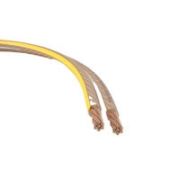 Câble de haut-parleur transparent 16 AWG en cuivre sans oxygène pour enceintes domestiques, autoradios et amplificateurs