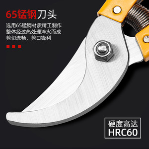 Garden Shears Bypass Pruner 10-20 Mm Cutting Capacity Yellow Handles Carbon Steel Blade For Fruit Picking And Pruning - Product Image 4