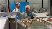 LTK Volledig Automatische Elektrische Industriële Fruit- en Groente-Fritesmachine, Lijn voor Diepvriesfrieten