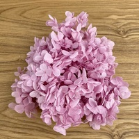 Yunnan Fabrik-Lieferung Konservierter Blumenstrauß 20g Konservierte Holz-Hortensie Atlantis Dekorative Blumen & Kränze Hortensie