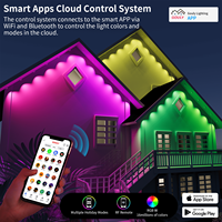 Luz Navideña Permanente de Diseño Personalizado Gouly, Luz LED de Punto para Exteriores con Clasificación IP68 a Prueba de Agua