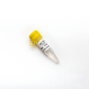 GDSbio-<span class=keywords><strong>dNTP</strong></span> Mix (sin RNase), 10mM cada uno, 0,5 ml para uso de investigación PCR R2051 - Product Image 6