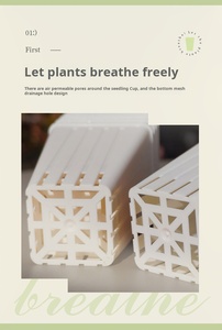 P136 Pots de pépinière de plantes <span class=keywords><strong>en</strong></span> <span class=keywords><strong>plastique</strong></span> souple Petits récipients de plantation carrés Tasses <span class=keywords><strong>pour</strong></span> plantes succulentes Semis Boutures Transplantation - Product Image 6