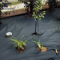 Rouleau de géotextile non tissé en PP/PET, écologique, pour la construction routière et les couches de drainage