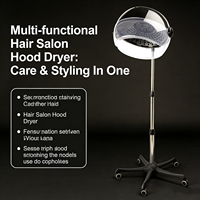Sèche-cheveux professionnel à moteur AC pour salon, avec construction en plastique et design type casque pour une utilisation facile