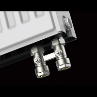 Radiateur en acier à haute efficacité, type 22, double convecteur, radiateurs de chauffage central pour le chauffage domestique
