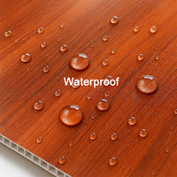 Plafond PVC insonorisé facile à installer, épaisseur 9 mm, carreaux de plafond pour cuisine, pour le marché sud-africain