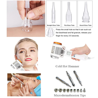 Appareil Facial Galvanique Multifonctionnel Haute Fréquence, Équipement de Salon à Vapeur Salée Prise US/IT