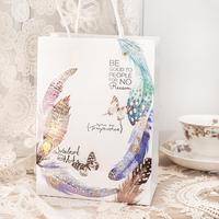10 pièces/paquet autocollants pour animaux de compagnie série de plumes Flash en forme spéciale grande taille bronzant glisse Journal décoration autocollants