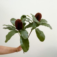 Groothandel Kunstbloemen, Hoogwaardig Bex Spotted Wood, Kunstmatige Keizerlijke Bloemen, Zachte Decoratieve Bloemstukken