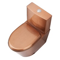 S Trap/p Trap Cuvette de toilette en prison en acier inoxydable Piss Wc Toilette montée au sol