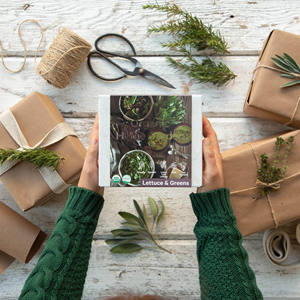 Kit di coltivazione da cucina fai da te per interni lattuga verde pianta per bambini erba di avviamento da giardino Kit di strumenti per spinaci Non ogm cavolo rosso lattuga - Product Image 4